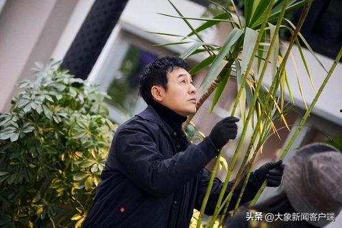 娱乐吃瓜酱张颂文,娱乐吃瓜酱的幕后故事